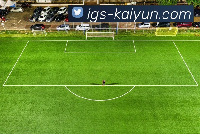 开云平台生态图